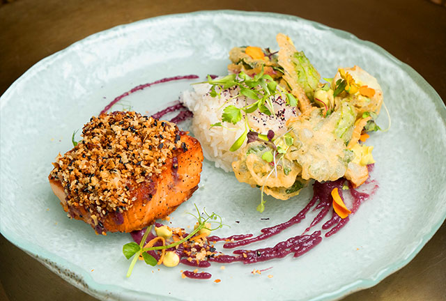 MIso-Salmon
